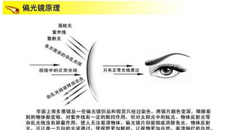 時尚與運動的完美結(jié)合 特別推薦GD100太陽眼鏡套裝